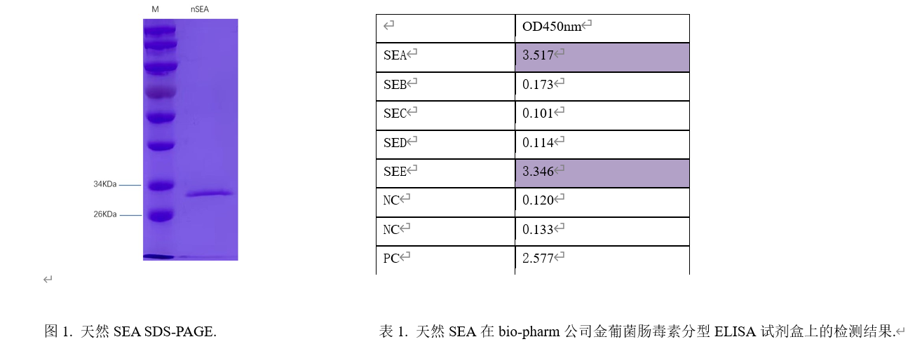 金葡菌腸毒素SEA.png