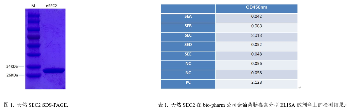 金葡菌腸毒素SEC2.png