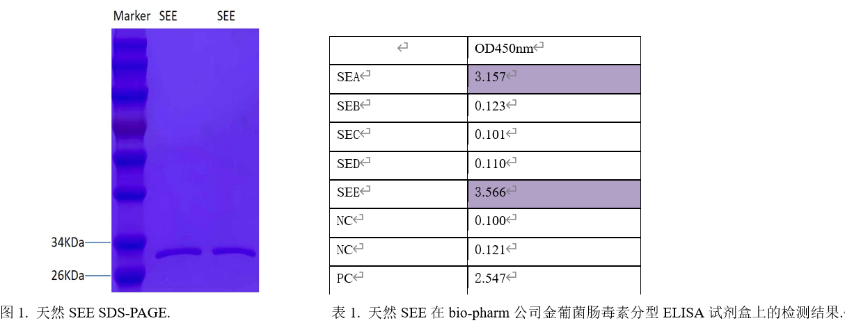 金葡菌腸毒素SEE.png