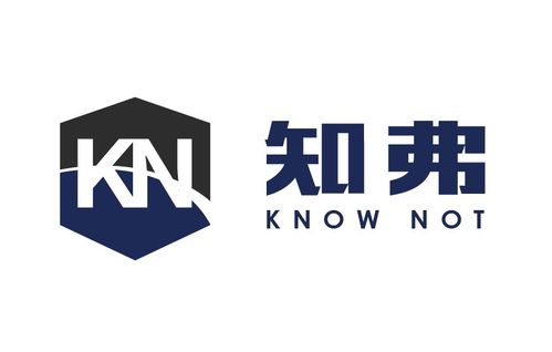 技術(shù)咨詢與技術(shù)服務(wù)的協(xié)同價(jià)值與業(yè)務(wù)發(fā)展路徑